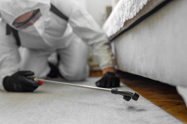 Professional Bed Bug Control technician working in Fox Island, WA