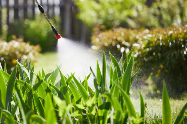 24/7 Emergency Bed Bug Control experts in Fox Island, WA
