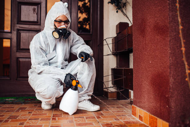 Reliable Bed Bug Control contractor in Fox Island, WA by Nex Pest Control