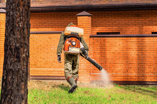 Trusted Bed Bug Control service in Fox Island, WA - Nex Pest Control